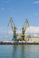 Fototapeta premium Crane