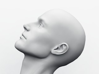 White Male Head - 55