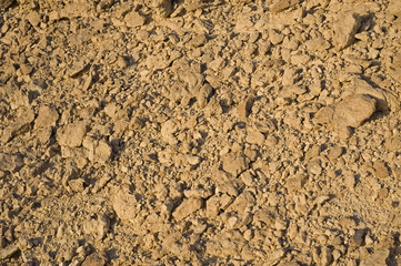 Stony ground background texture