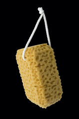Sponge on the cord.