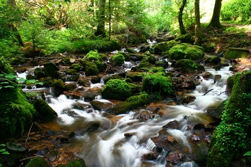 Waldbach mit samtigen Wasserfällen