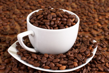 Fototapeta premium coffee
