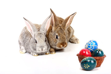 easter rabbits