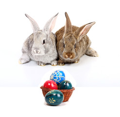 easter rabbits