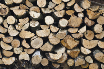 drewno łupane © Kalinowski Łukasz