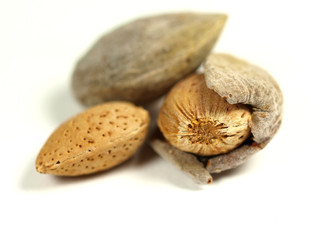 Almond on white background