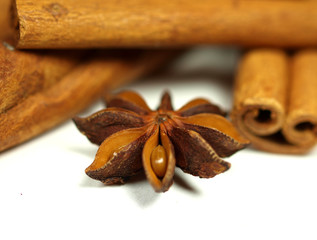 Star anis with cinnamon barks on white background