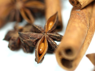 Star anis with cinnamon barks on white background