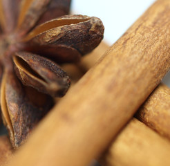 Star anis with cinnamon barks on white background
