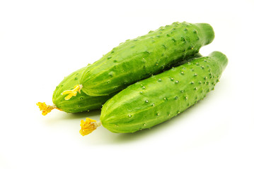 cucumbers