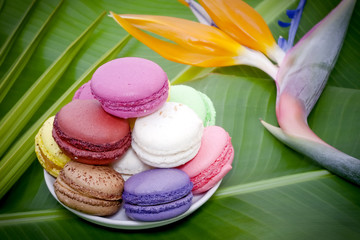 Macarons des îles