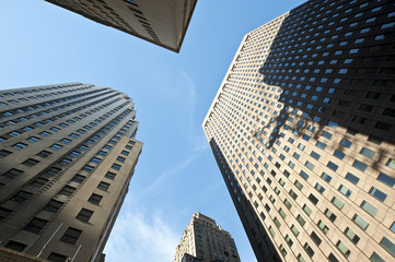 Fototapeta na wymiar Upwards view of skyscrapers