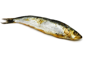 herring