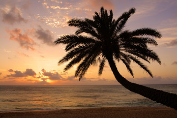 Fototapeta na wymiar Sunset Beach, O'ahu, Hawaii..