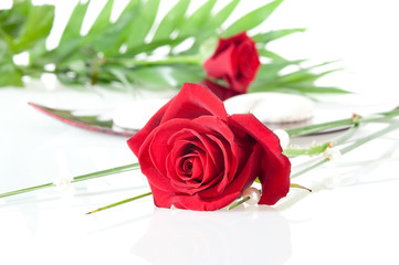 Rote rose mit dekoschale auf weissem hintergrund