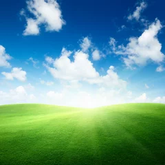 Fotobehang field of green grass and blue sky © Iakov Kalinin