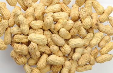peanut close up with white back ground