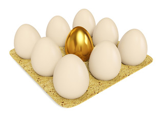 eggs