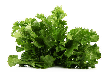 cime di rapa