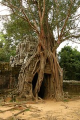 Runs of ancient Cambodian temple