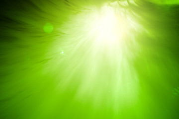 green light background