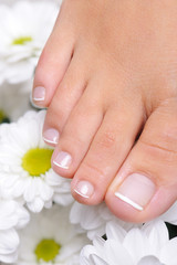 Single female foot with french pedicure and flower camomile