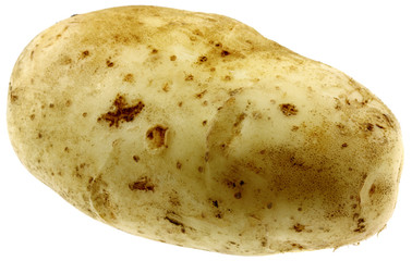 pomme de terre, fond blanc