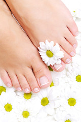 clean and beautiful woman's feet