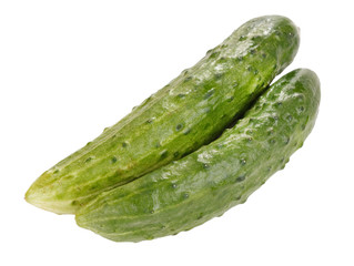 cucumbers on a white background