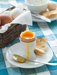 Bolied egg for breakfast