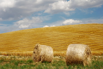 Bales  in a field