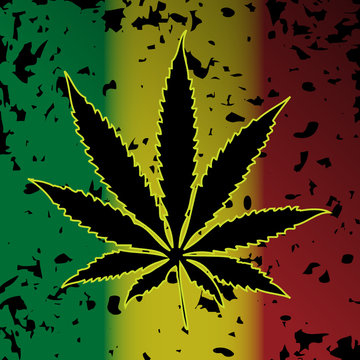Cannabis-Marihuana