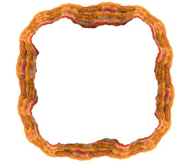 Frame