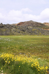 Fototapeta na wymiar Islandia - Landmannalaugar malownicze góry