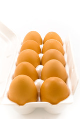 eggs