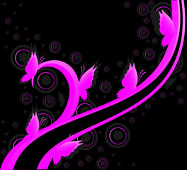 butterfly