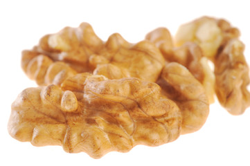 walnut