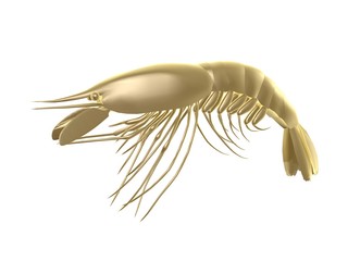 Obraz premium golden prawn