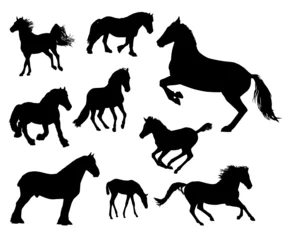 Fotobehang Horses silhouette © christemo