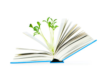 Knowledge concept with books and seedlings