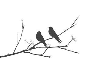 vector silhouette of the bird on branch