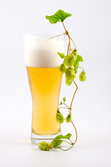 Glass of beer and hop