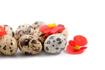 Quail eggs with flowers