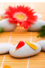 Red flower and stack of spa pebbles