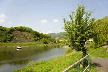 Moselle in Germany