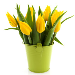 Bouquet yellow tulips