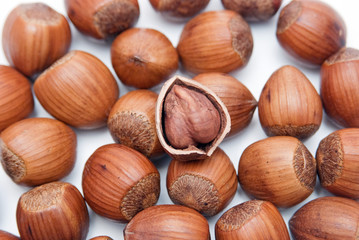 Hazelnut