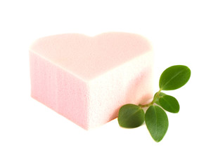 pink sponge with green leaves