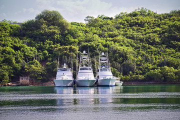 Fishing boats