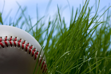 hidden baseball